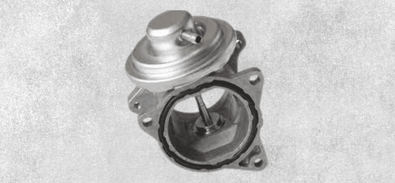 Anulación FAP, EGR, DPF, ADBLUE Álava