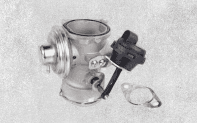 Anulación FAP, EGR, DPF, ADBLUE Hellín