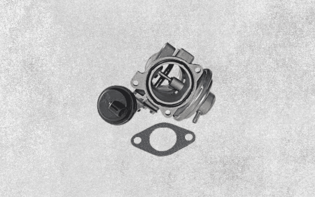 Anulación FAP, EGR, DPF, ADBLUE en Lepe