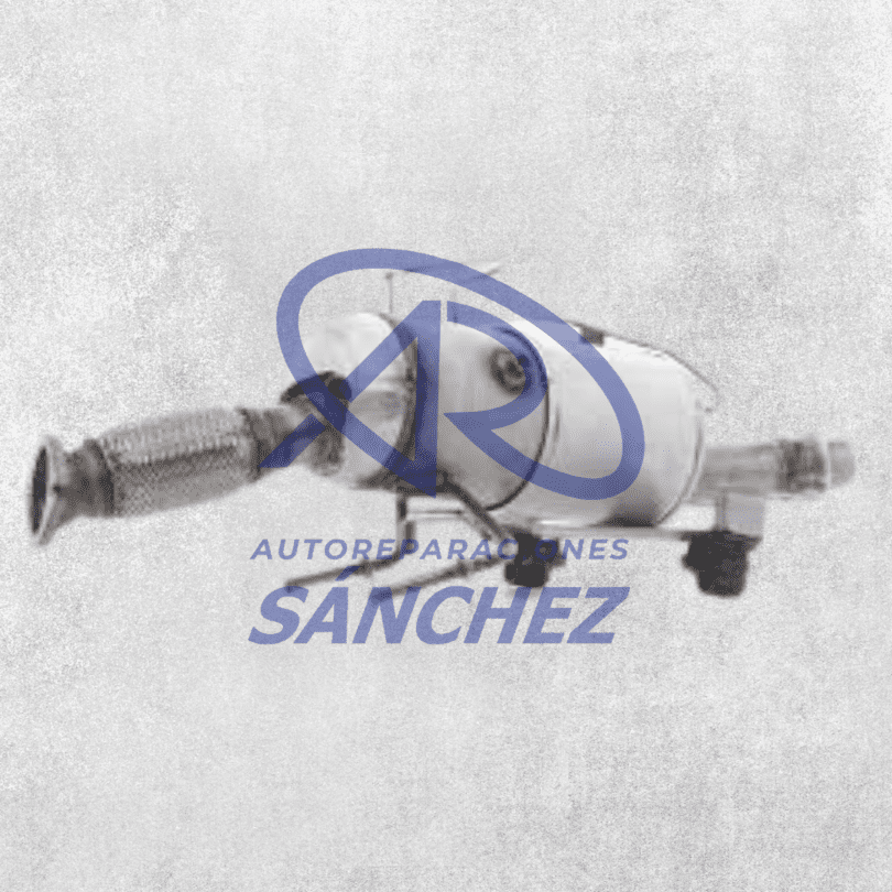 Limpieza Filtro de Partículas Balaguer Limpieza Filtro de Partículas Balaguer