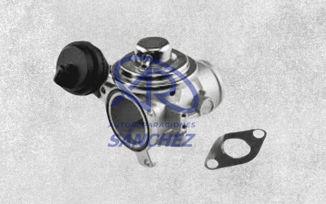 Anulación FAP, EGR, DPF, ADBLUE Vizcaya
