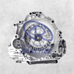 Caja de Cambios VOLKSWAGEN 5HP19 DUM 1060030024